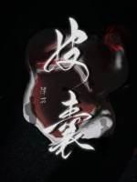 皮囊是什么意思