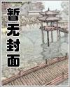 他们的玩物讲什么