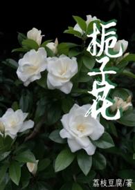 作者栀子花