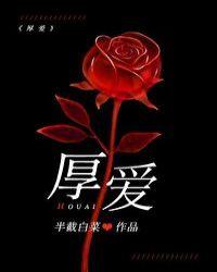 厚爱必大费