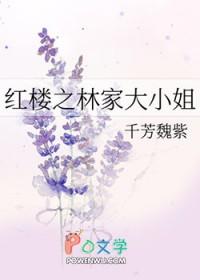 红楼之林家长女免费阅读