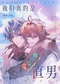 我真的是直男破解版