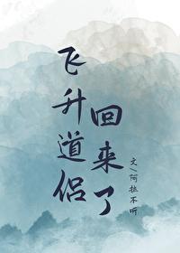 飞升以后
