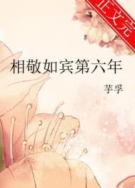 相敬如宾是指谁