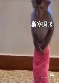 泡芙小姐动画版