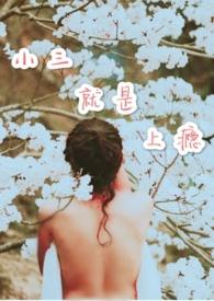 小三上瘾记小三专业户