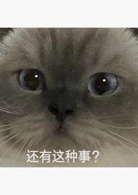 重生回强上男主的后一天废文网