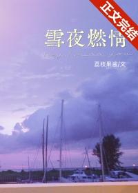 雪夜燃情荔枝果酱笔趣阁免费阅读百度