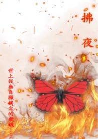 拂夜雪