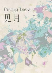 见月忘指什么意思