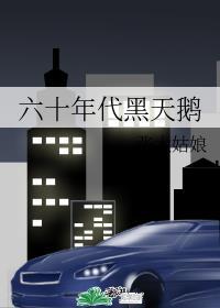 六十年代黑天鹅324