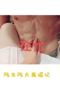 陈生陈太离婚记御书屋