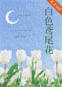 鸢尾 白色