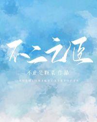 不二之臣选角