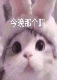 买可乐是什么剧