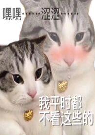 炉甘石的使用方法作用