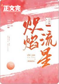 炽焰流星大翻译官