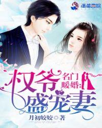 名门暖婚权爷盛宠妻讲的什么