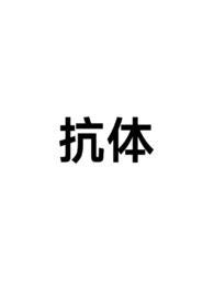 抗rnp抗体是什么