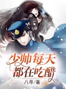 少帅每天都在吃醋第二季免费观看
