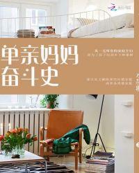 单亲妈妈奋斗记