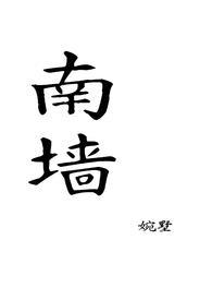 南墙作者知安