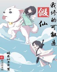 我修的可能是假仙境界