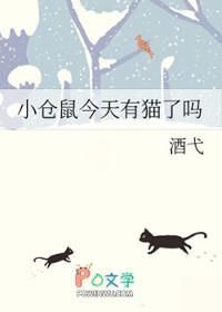 小仓鼠崽