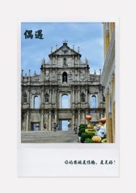 偶遇吧