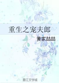 重生之宠夫计划