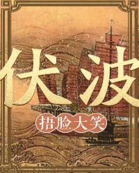 伏波娃还是波伏娃