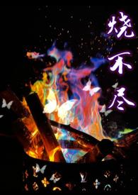 烧不尽的野火