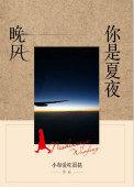 你是夏夜晚风百度