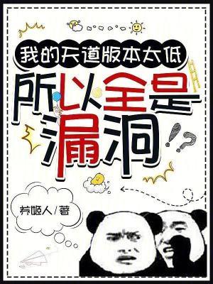 所以全是漏洞免费阅读