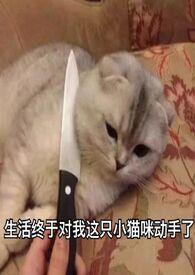 旧爱新欢by听久 txt