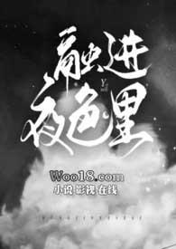 融进夜色里全文免费阅读