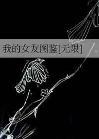 我的女友破解