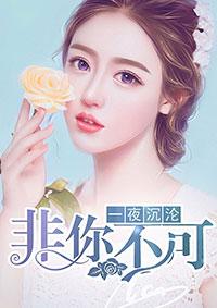 一夜沉婚的
