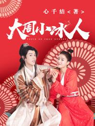 大周小冰人第19集