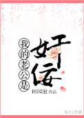 我的老公是奸佞 作者田园泡