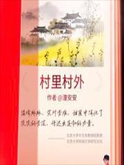 村里村外讲的什么