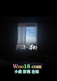 小狗被遗弃路边