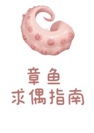 章鱼饲养指南