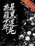 动漫苗疆少年