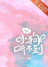 狗狗听不了什么声音