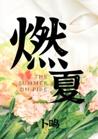 主人公名叫夏燃的名