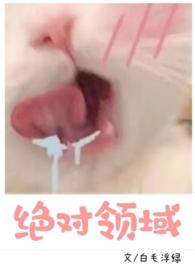 高中校园hsc1v3h绝对领域