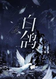 白鸽短篇