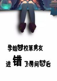学姐的校草男友进错了房间以后作者听冬离著