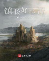 镇长干什么工作